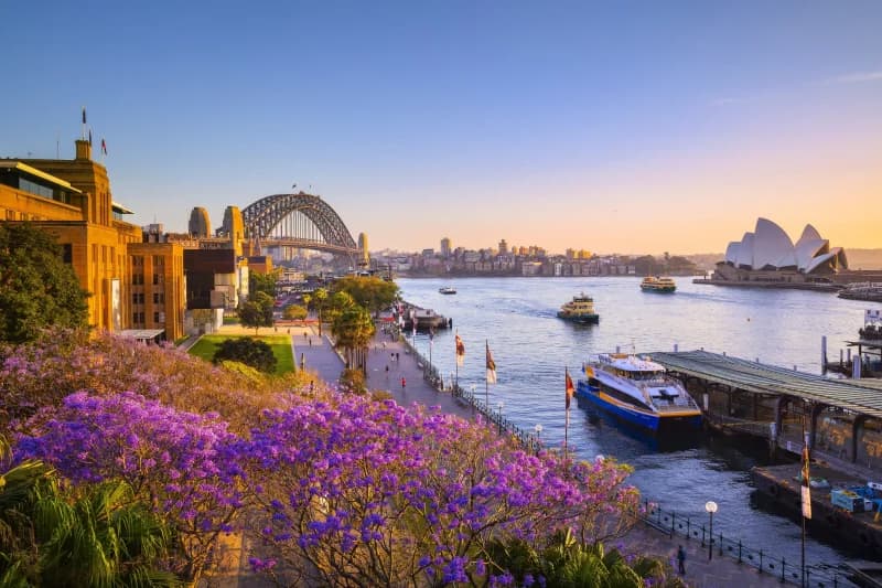 Things To Do on a Brisbane to Sydney Roadtrip