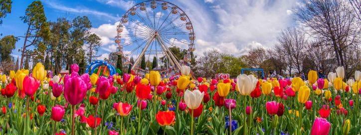 Things To Do in Australia This Spring