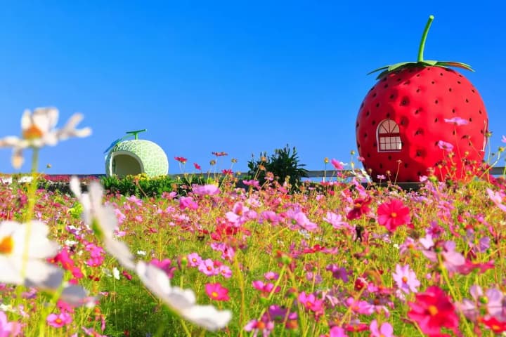 Weird Roadside Attractions in Japan