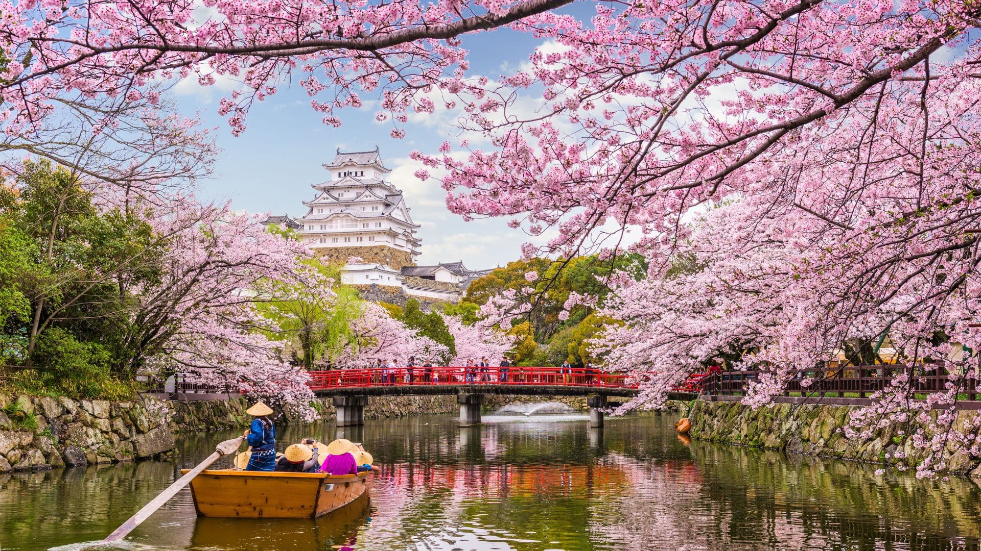 How To Travel Japan On A Budget