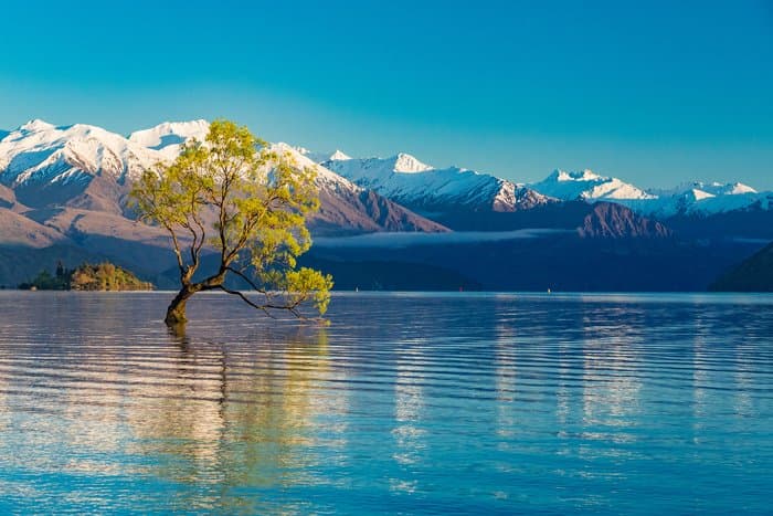 Hidden Gems of New Zealand's South Island