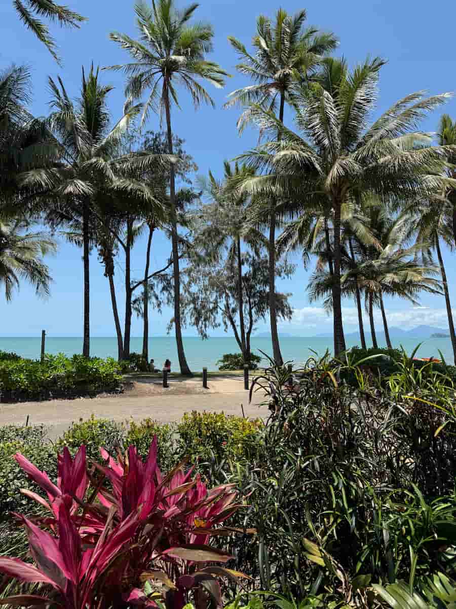 Planning a road trip to Cairns? Check out our guide for must see stops, day trips, and the best restaurants & bars. Drive to Cairns for $1 per day with Imoova.