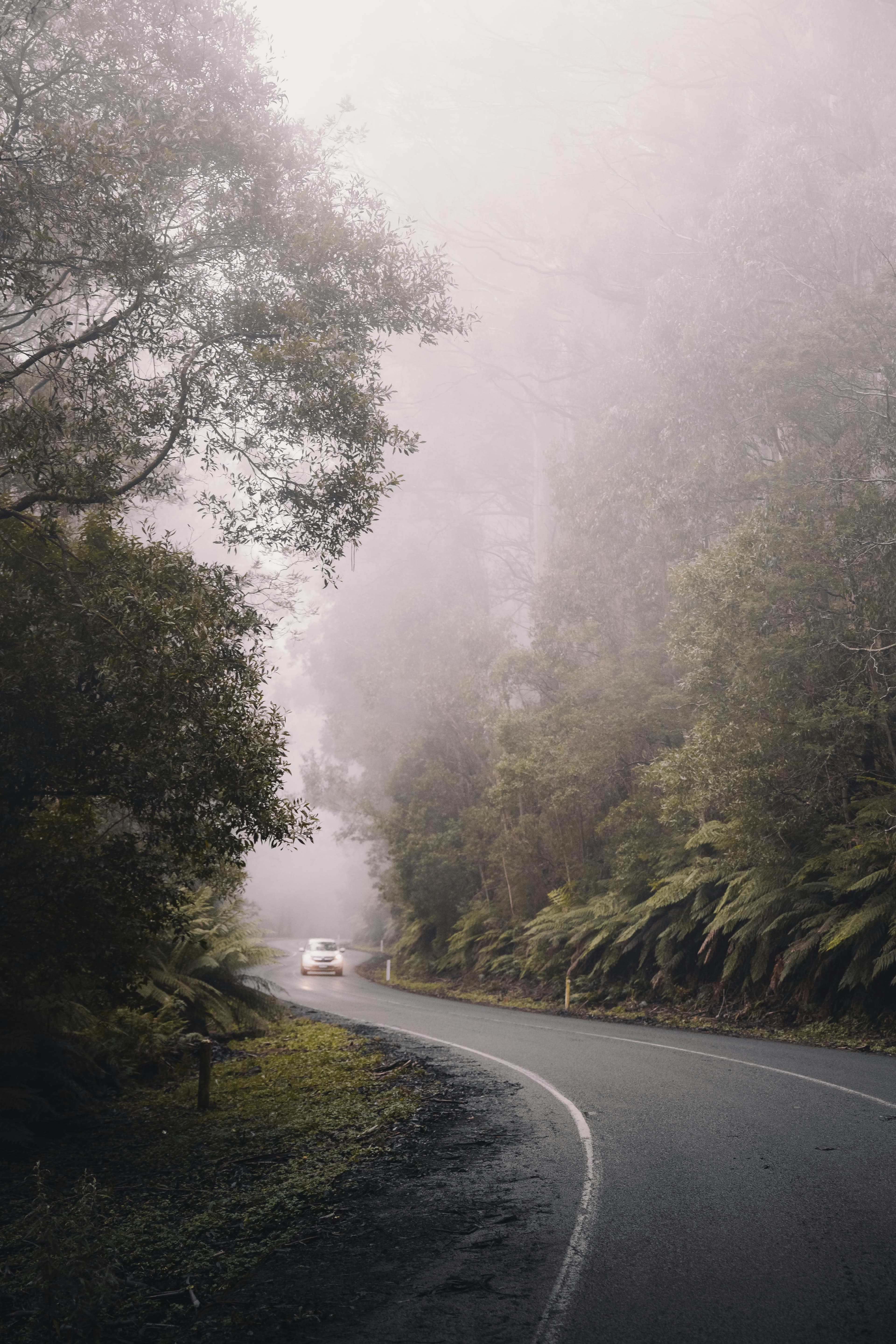 Australia’s wet season (generally November to April in the north) can be an unforgettable experience but road-tripping at this time requires preparation.